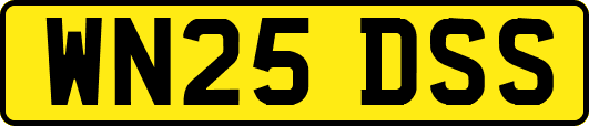 WN25DSS