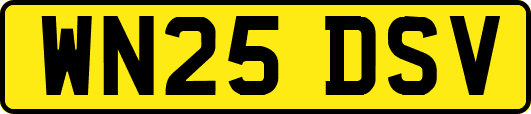 WN25DSV