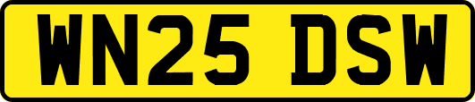 WN25DSW