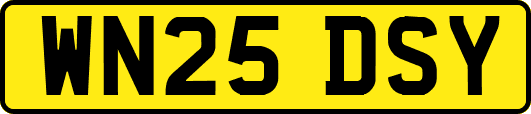 WN25DSY
