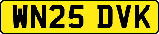 WN25DVK