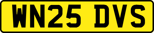 WN25DVS
