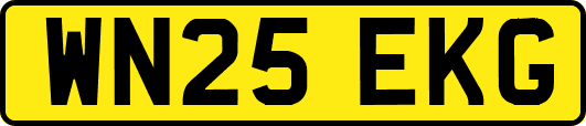 WN25EKG