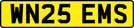WN25EMS