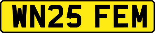 WN25FEM