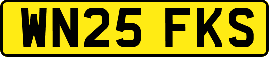WN25FKS