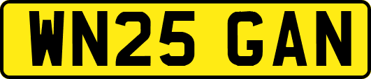 WN25GAN