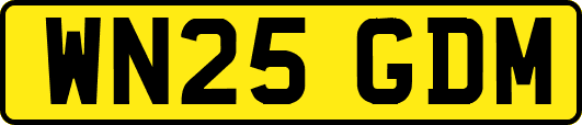 WN25GDM