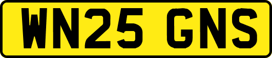 WN25GNS
