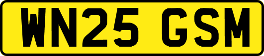 WN25GSM