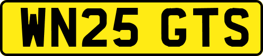 WN25GTS