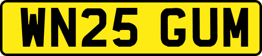 WN25GUM