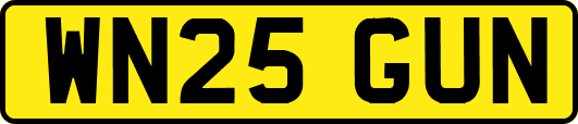 WN25GUN