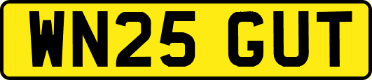 WN25GUT