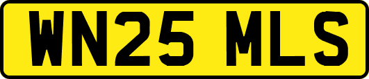 WN25MLS