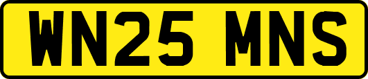 WN25MNS