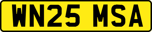 WN25MSA