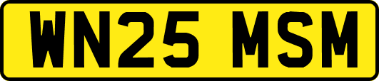 WN25MSM