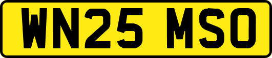 WN25MSO