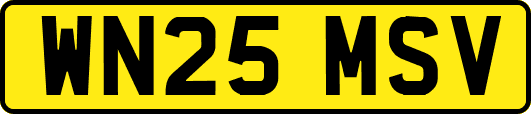 WN25MSV