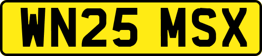 WN25MSX