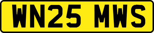 WN25MWS