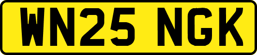 WN25NGK
