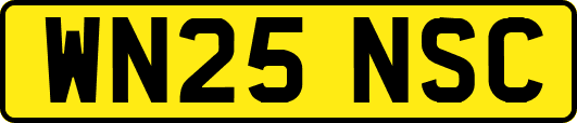 WN25NSC
