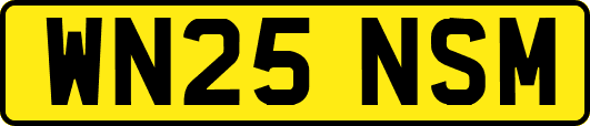 WN25NSM
