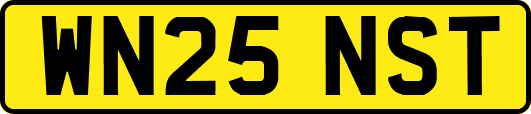 WN25NST