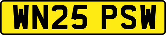 WN25PSW