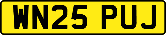 WN25PUJ