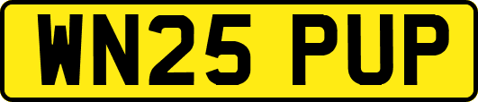 WN25PUP