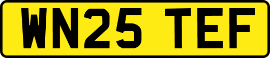 WN25TEF