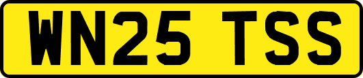 WN25TSS