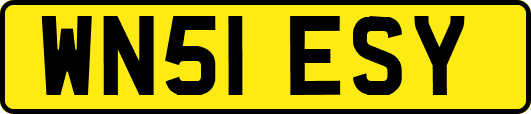 WN51ESY
