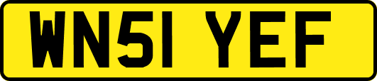 WN51YEF