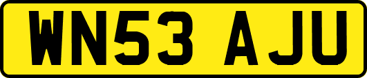 WN53AJU