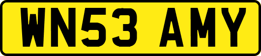 WN53AMY