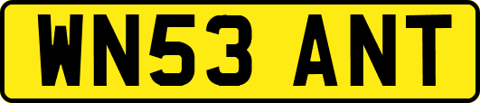 WN53ANT