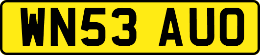 WN53AUO