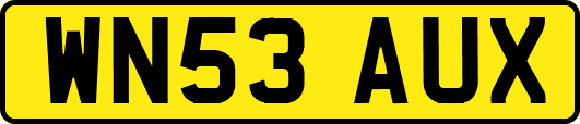 WN53AUX