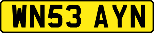 WN53AYN