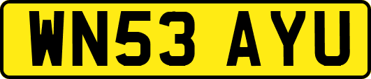WN53AYU