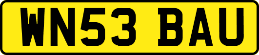 WN53BAU