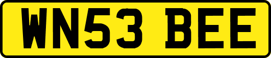 WN53BEE
