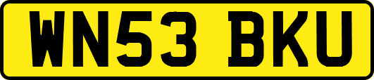 WN53BKU