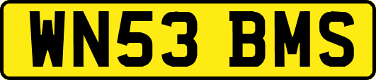 WN53BMS