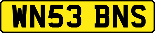 WN53BNS