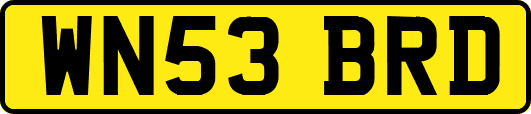 WN53BRD